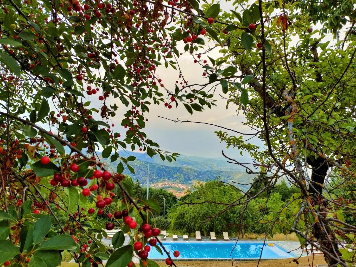 Agriturismo Borgo Biaia Camporgiano ภายนอก รูปภาพ